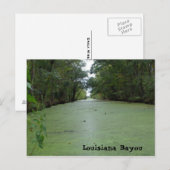 Louisiana Bayou Briefkaart (Voorkant / Achterkant)