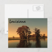 Louisiana bayou briefkaart (Voorkant / Achterkant)