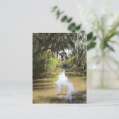 Louisiana Bayou Briefkaart (Staand voorkant)