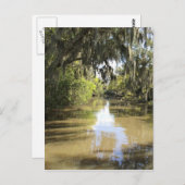 Louisiana Bayou Briefkaart (Voorkant / Achterkant)