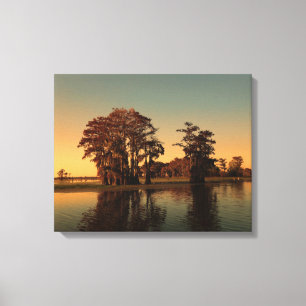 Louisiana bayou en cipressen canvas afdruk