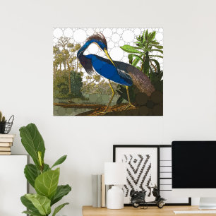 Louisiana Blue Heron van After John James Audubon Poster