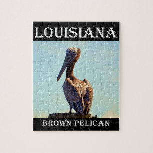 Louisiana Brown Pelican 2.jpg Legpuzzel