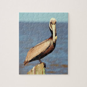 Louisiana Brown Pelican 4.jpg Legpuzzel