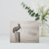 Louisiana Brown Pelican Briefkaart (Staand voorkant)