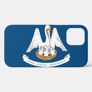 Louisiana iPhone 12 Pro Hoesje