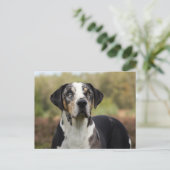 louisiana catahoula leopard briefkaart (Staand voorkant)