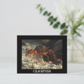 Louisiana Crawfish Briefkaart (Staand voorkant)