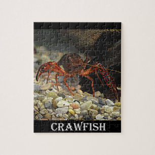 Louisiana Crawfish Legpuzzel