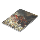 Louisiana Crawfish Notitieblok (Gedraaid)