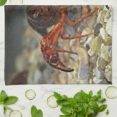 Louisiana Crawfish Theedoek (Gevouwen)