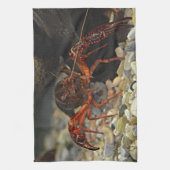 Louisiana Crawfish Theedoek (Verticaal)