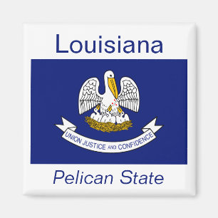 Louisiana Flag Magnet Magneet