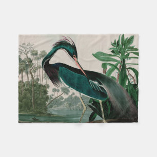 Louisiana Heron Birds of America Audubon Print Fleece Deken
