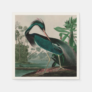 Louisiana Heron Birds of America Audubon Print Servet