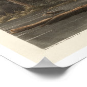 Louisiana Heron par Audubon Poster (Coin)