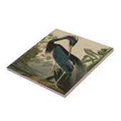 Louisiana Heron Tegeltje (Zijkant)