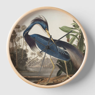Louisiana Heron van Audobon Wall Clock