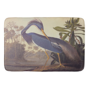 Louisiana Heron van Audubon of Tricolored Heron Badmat