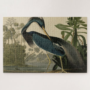 Louisiana Heron - van de Amerikaanse vogels van Au Legpuzzel