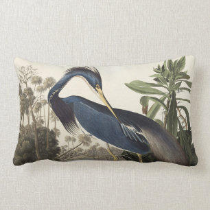 Louisiana Heron van de vogels van Amerika Kussen