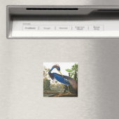 Louisiana Heron van John James Audubon Magneet (Insitu (Vaatwasser))