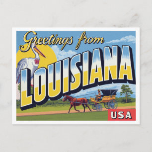 Louisiana Koets Pelikaan Briefkaart