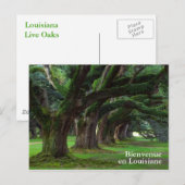 LOUISIANA LEVENDE OAK BOMEN BRIEFKAART (Voorkant / Achterkant)