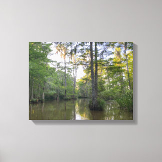 Louisiana Moeras Canvas Afdruk