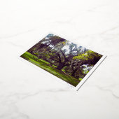 Louisiana Oak Tree Postcard Folie Feestdagen Briefkaart (Gedraaid)