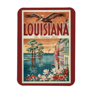 Louisiana Pelikaan Staat Illustratie Reis Kunst Magneet