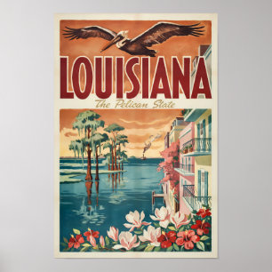 Louisiana Pelikaan Staat Illustratie Reis Kunst Poster