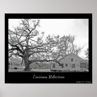 Louisiana Reflections Poster