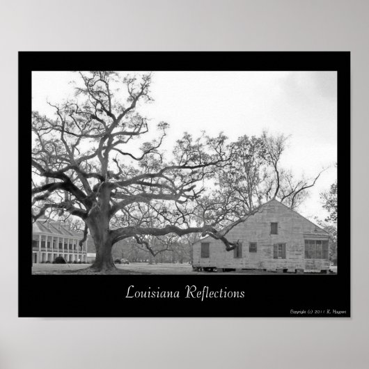 Louisiana Reflections Poster (Voorkant)