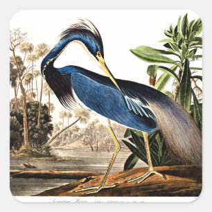 Louisiana Reiger Vierkante Sticker