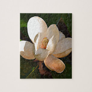 Louisiana Southern Magnolia Legpuzzel
