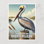 Louisiana State Bird Brown Pelican Briefkaart (Voorkant)
