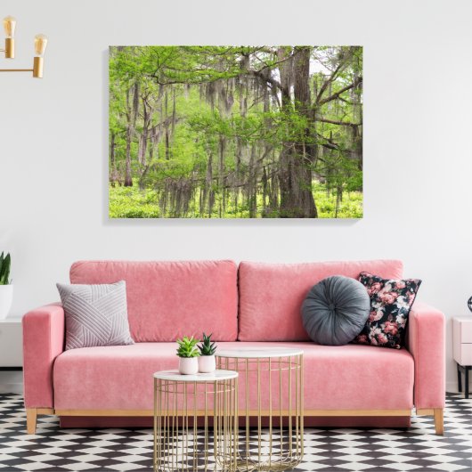Louisiana Swamp Cypress Canvas Afdruk (Insitu (Woonkamer))