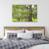 Louisiana Swamp Cypress Canvas Afdruk (Insitu (Slaapkamer))