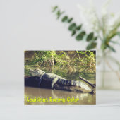 Louisiana Swamp Gator Briefkaart (Staand voorkant)