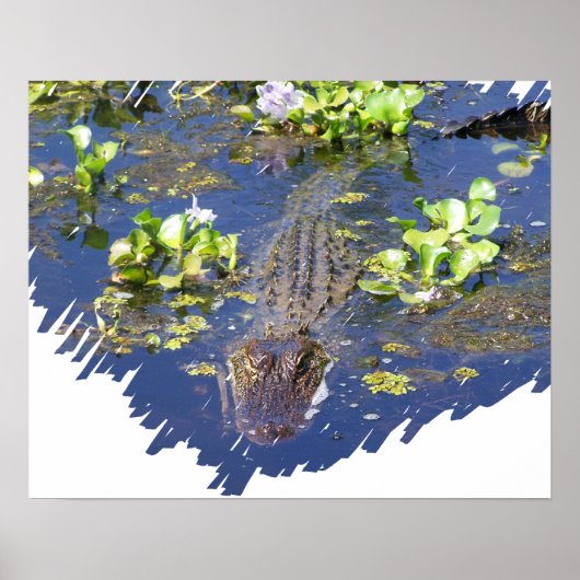 Louisiana Swamp Gator Hunter Poster (Voorkant)