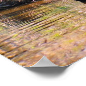 Louisiana Swamp Poster (Hoek)