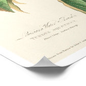 Louisiana Water Thrush par Audubon Poster (Coin)