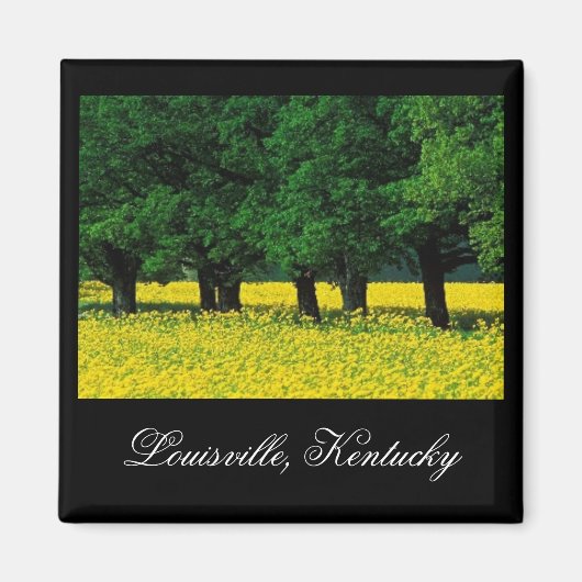 Louisville, Kentucky Magnet (Devant)