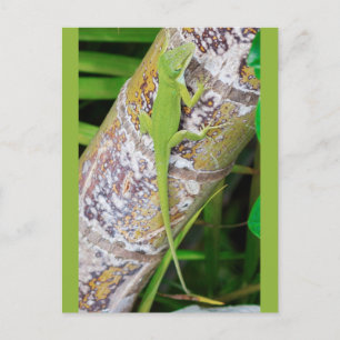 Lounge Lizard Green Gecko Briefkaart