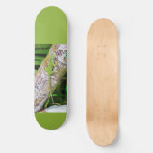 Lounge Lizard Green Gecko Skateboard (Voorkant)
