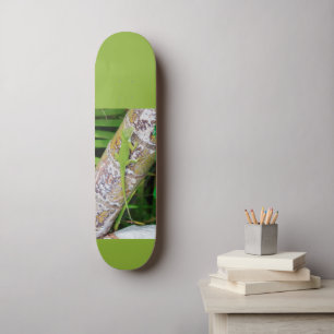 Lounge Lizard Green Gecko  Skateboard