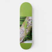 Lounge Lizard Green Gecko Skateboard (Voorkant)