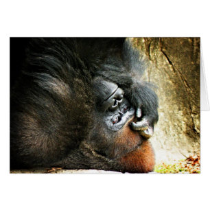 Lounging Gorilla Blank Card