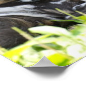 Lounging Wild Dog Poster (Hoek)